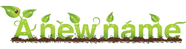 A New Name logo